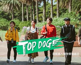桃汁影院《TOP DOG》免费在线观看