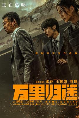 桃汁影院《万里归途》免费在线观看
