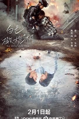桃色视频《白色橄榄树》免费在线观看